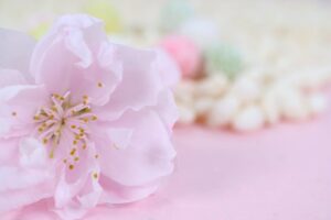サロンドティアラ4月空き状況